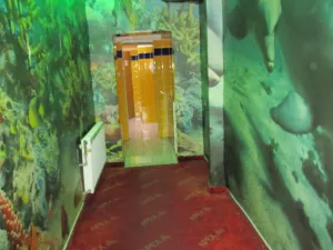 Pronájem obchodního prostoru, Ostrava - Zábřeh, Svazácká, 287 m2