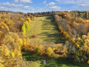 Prodej louky, Stvolínky, 37727 m2