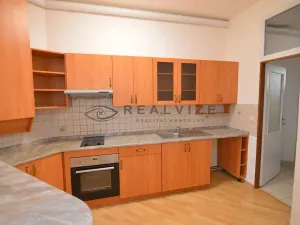 Pronájem bytu 1+kk, České Budějovice, K. V. Raise, 52 m2