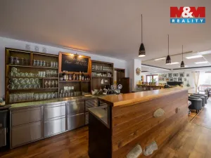 Prodej restaurace, Frýdlant nad Ostravicí - Lubno, 533 m2