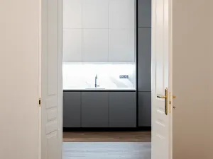 Pronájem bytu 3+kk, Praha - Vinohrady, Třebízského, 95 m2