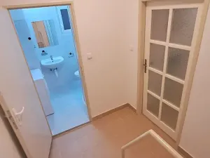 Pronájem bytu 1+kk, Praha - Braník, Pod vinohradem, 27 m2