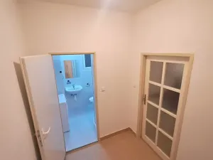 Pronájem bytu 1+kk, Praha - Braník, Pod vinohradem, 27 m2