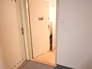 Pronájem bytu 1+kk, Praha - Braník, Pod vinohradem, 27 m2