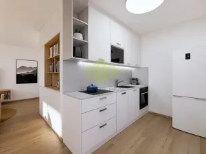 Prodej bytu 2+kk, Lipník nad Bečvou, Mánesova, 47 m2