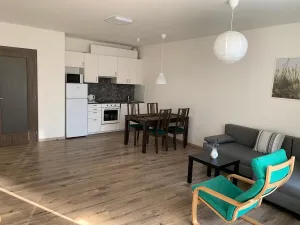 Pronájem bytu 2+kk, Ostrava - Moravská Ostrava, Důlní, 73 m2