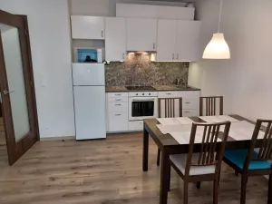 Pronájem bytu 2+kk, Ostrava - Moravská Ostrava, Důlní, 73 m2