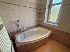 Pronájem rodinného domu, Ostrava, Křížkovského, 300 m2