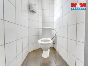 Pronájem obchodního prostoru, Plzeň - Jižní Předměstí, Havlíčkova, 185 m2