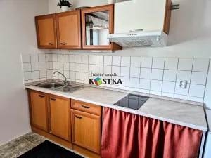 Prodej ubytování, Leskovec nad Moravicí, 200 m2