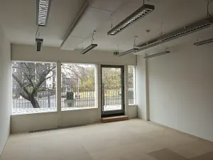 Pronájem obchodního prostoru, Praha - Nusle, Lomnického, 45 m2