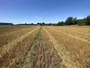 Prodej pole, Ostrovec - Dědovice, 34981 m2