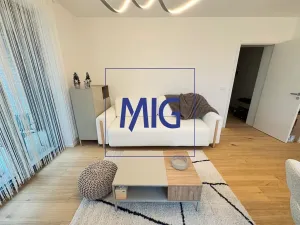 Pronájem bytu 2+kk, Brno, Bratislavská, 54 m2