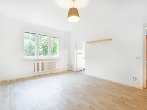 Pronájem bytu 1+1, Brno, náměstí SNP, 27 m2