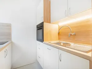 Pronájem bytu 1+1, Brno, náměstí SNP, 27 m2