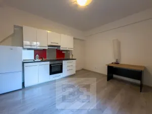 Pronájem bytu 2+kk, Praha - Žižkov, Viklefova, 46 m2