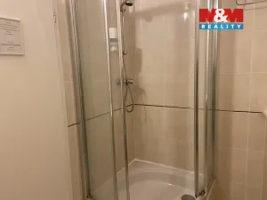 Pronájem bytu 4+kk, Plzeň - Vnitřní Město, Zbrojnická, 110 m2