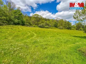 Prodej zahrady, Sušice - Nuzerov, 7751 m2