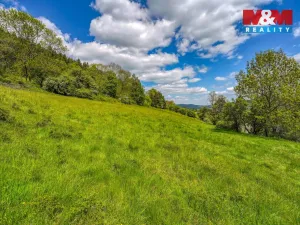 Prodej zahrady, Sušice - Nuzerov, 7751 m2