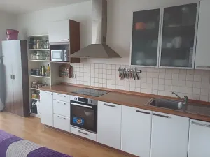 Pronájem bytu 2+kk, Brno, Kosmova, 61 m2