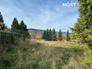 Prodej rodinného domu, Jeřmanice, Javornická, 300 m2