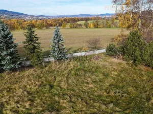 Prodej pozemku pro bydlení, Jeřmanice, Javornická, 10228 m2