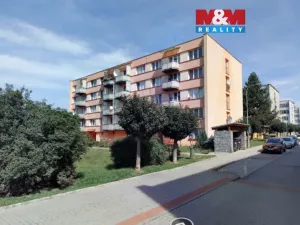 Prodej bytu 2+1, Veselí nad Lužnicí - Veselí nad Lužnicí I, Pod Markem, 58 m2