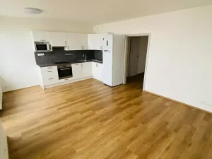 Pronájem bytu 3+kk, Brno, Lipová, 62 m2
