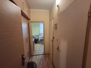 Prodej bytu 1+1, Plesná, Kostelní, 35 m2