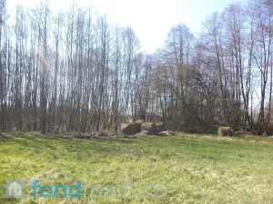 Prodej pozemku, Dolní Pěna, 4291 m2