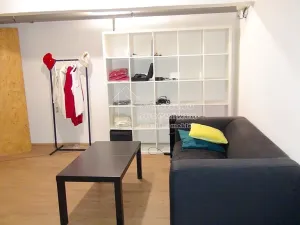 Pronájem komerční nemovitosti, Praha - Karlín, Pernerova, 358 m2