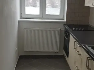 Prodej bytu 3+1, Novosedlice, Drahénská, 60 m2