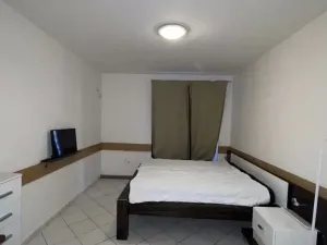 Pronájem bytu 1+1, Praha, 45 m2