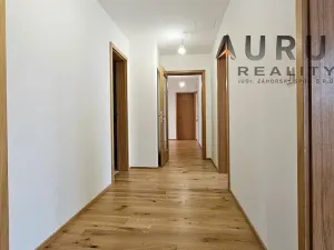 Pronájem bytu 4+kk, Praha - Nusle, Bělehradská, 116 m2