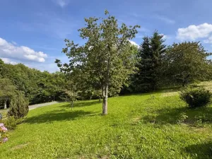 Prodej pozemku, Jestřabí v Krkonoších, 809 m2