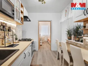 Prodej bytu 2+1, Semily - Podmoklice, Jižní, 55 m2