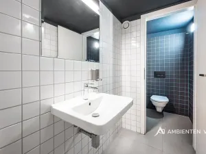 Prodej obchodního prostoru, Brno, Masarykova, 494 m2