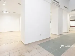 Prodej obchodního prostoru, Brno, Masarykova, 494 m2