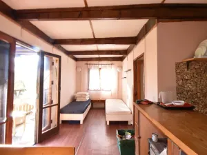 Prodej chaty, Přestavlky u Čerčan, 50 m2