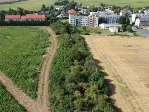 Dražba pozemku, Žihle, 6167 m2