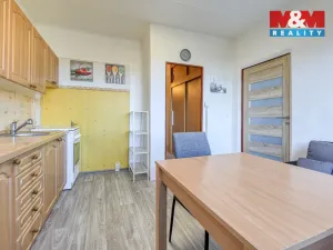 Pronájem bytu 1+1, Plzeň, Manětínská, 39 m2