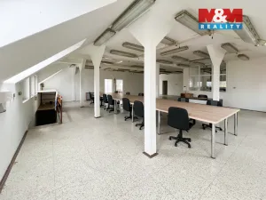 Prodej obchodního prostoru, Katovice, Kolářova, 400 m2