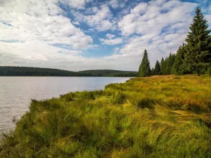 Prodej bytu 2+kk, Bedřichov, 70 m2
