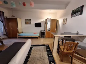 Pronájem bytu 1+kk, Praha - Vysočany, Novovysočanská, 28 m2
