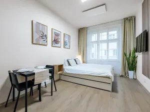 Prodej bytu 1+kk, Praha - Vyšehrad, Neklanova, 23 m2