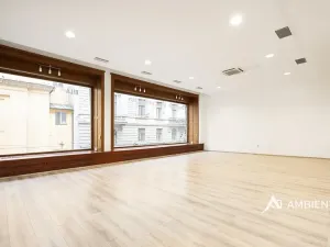 Pronájem obchodního prostoru, Brno, Masarykova, 176 m2
