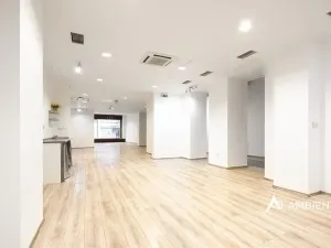 Pronájem obchodního prostoru, Brno, Masarykova, 176 m2