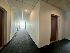 Pronájem bytu 1+kk, Brno, Svitavské nábřeží, 24 m2