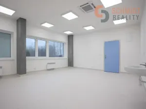 Pronájem ordinace, Břeclav, U Nemocnice, 234 m2