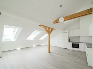 Pronájem bytu 2+kk, Praha - Nové Město, Václavské náměstí, 63 m2